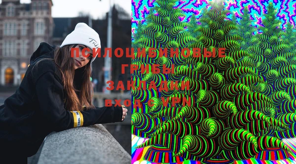 экстази Михайлов