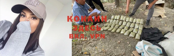 экстази Михайлов