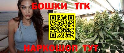 спиды Гай