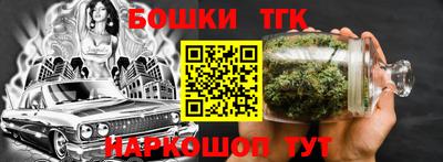 спиды Гай