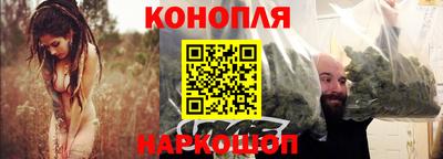 спиды Гай