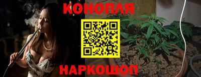 спиды Гай