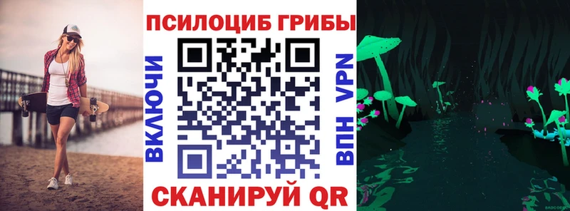 что такое Северск мориарти официальный сайт Псилоцибиновые грибы Psilocybine cubensis