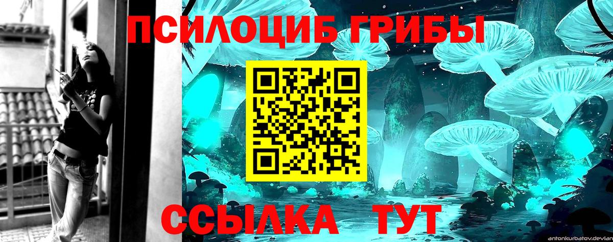 Галлюциногенные грибы прущие грибы Северск