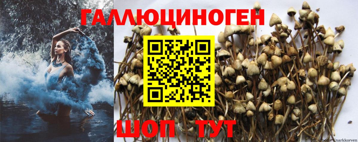 Псилоцибиновые грибы мухоморы  Вход с VPN  Северск 