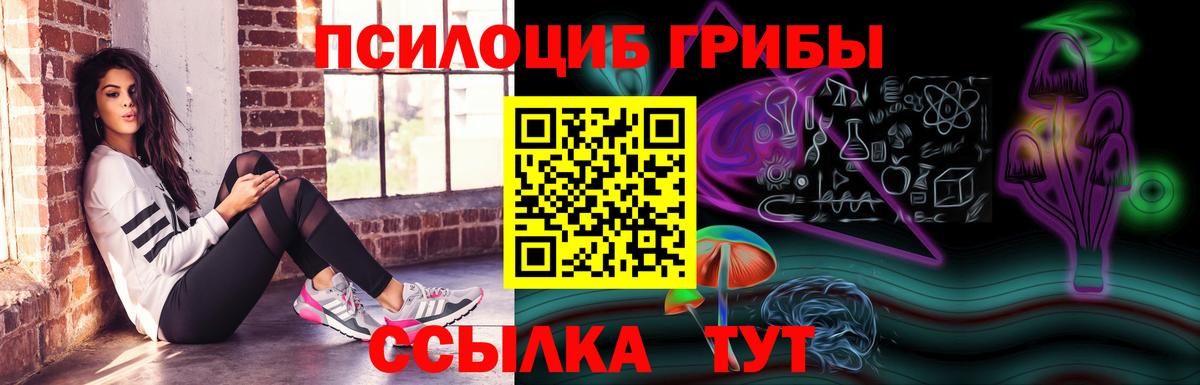 Галлюциногенные грибы мицелий  даркнет сайт  Северск  Галлюциногенные грибы MAGIC MUSHROOMS 